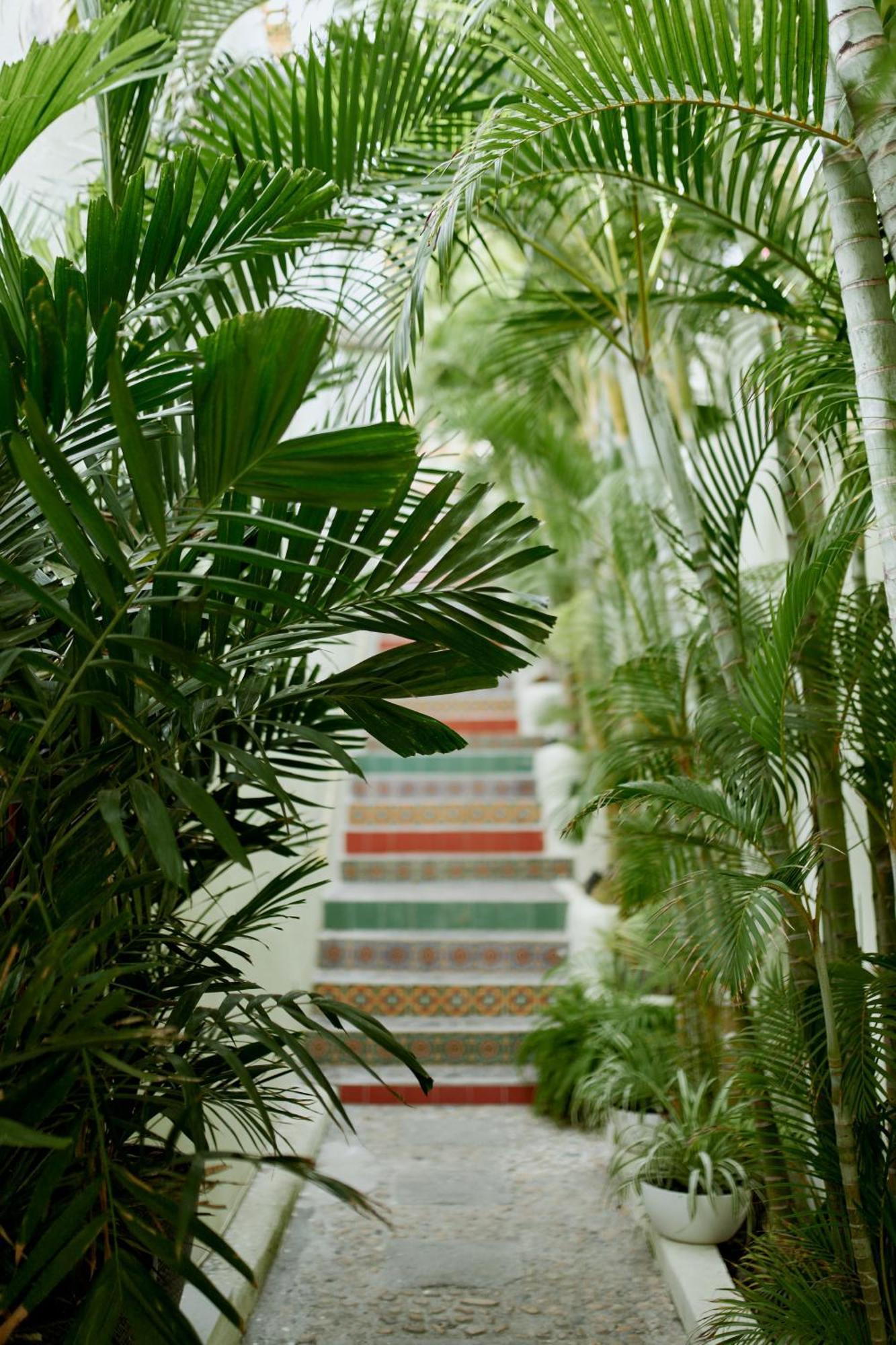Hotel Ysuri Bucerias Exterior photo
